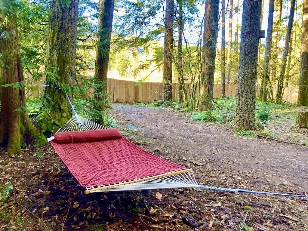 large fenced backyard, our favorite place to nap