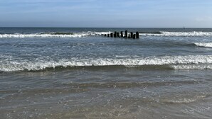 A beach with waves and a series of wooden posts in the water. - Cozy one-bedroom condo, ideal for a romantic couple's getaway. (Carolina Beach)