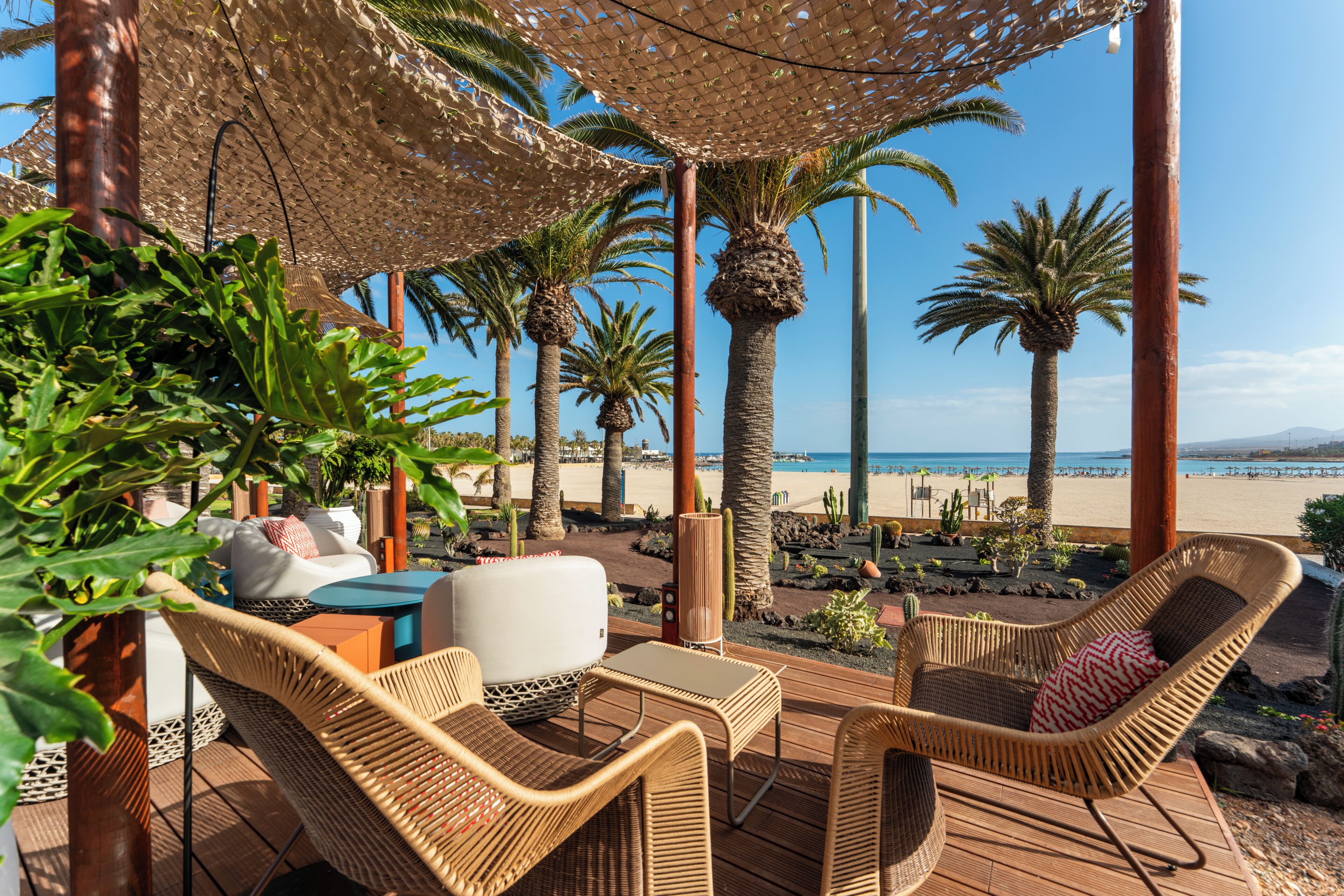 Un espacio al aire libre con mobiliario de mimbre, una palmera y vista a la playa.