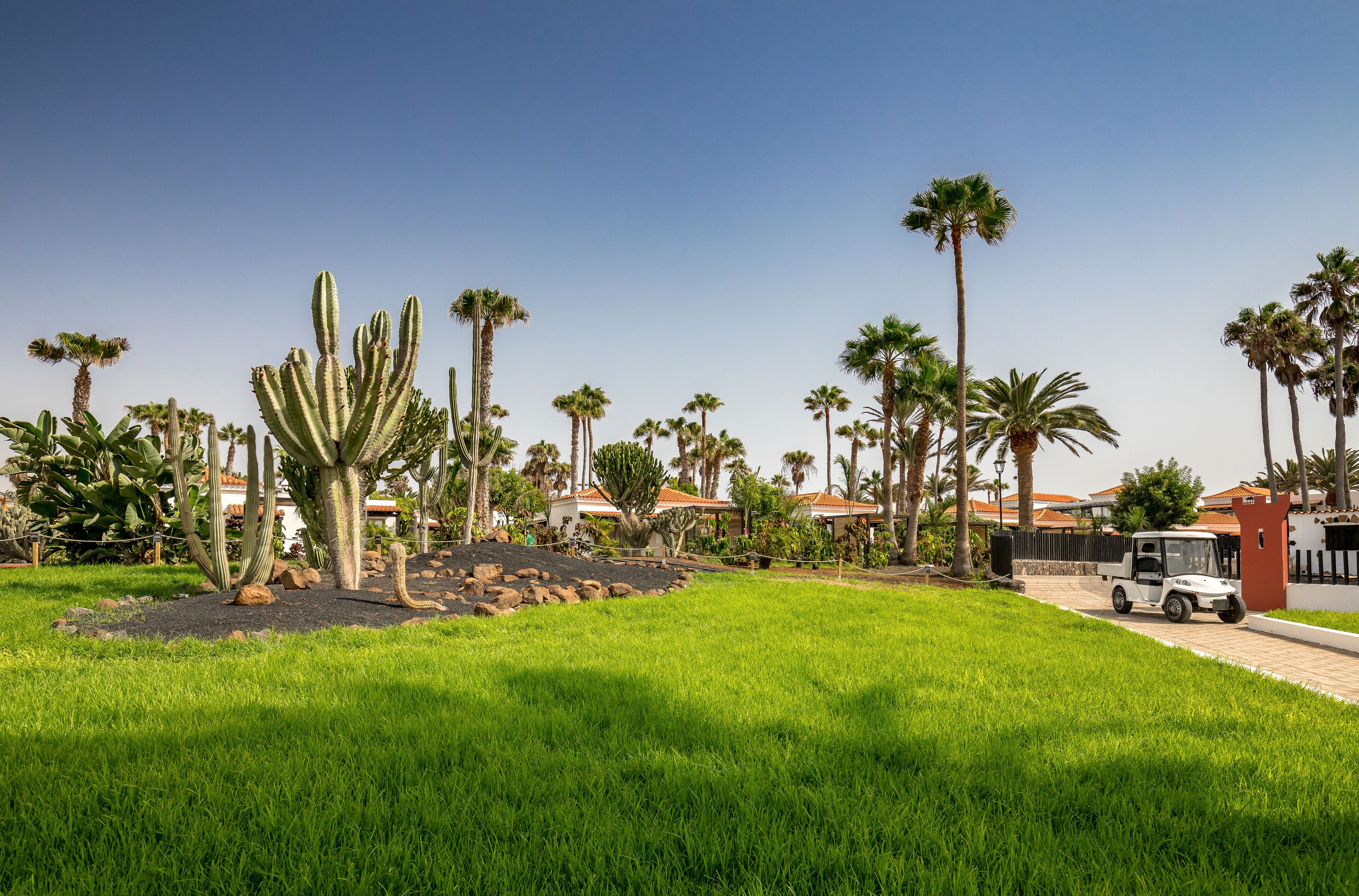 A well-maintained grassy area with palm trees and cacti, a paved pathway, and a white vehicle parked near a building with a red roof.