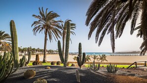 Un jardin désertique avec des cactus et des palmiers, une plage de sable et un ciel bleu azur.