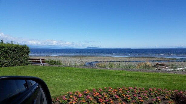 A coastal view with a grassy area, a bench, and a flower bed. - A modern cozy cottage in your own wooded backyard located mid Vancouver Island. (Qualicum Beach)
