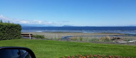 مناشف للشاطئ