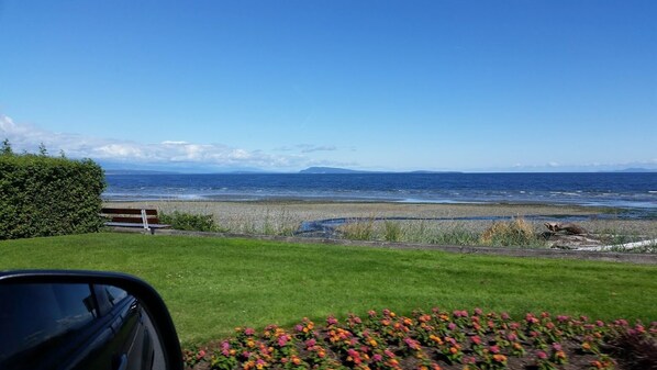 Beach towels - A modern cozy cottage in your own wooded backyard located mid Vancouver Island. (Qualicum Beach)