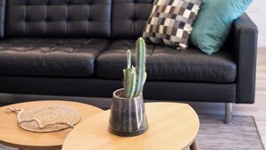 A black leather sofa with a checkered pillow and a teal pillow, a round wooden coffee table with a woven placemat, and a grey pot with a cactus plant. - Home2Book Design Asian Sabina, Heated Pool & View (El Sauzal)