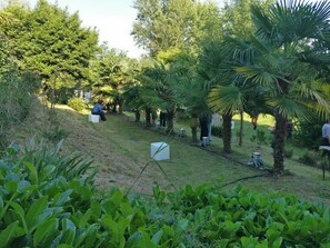 Parco della struttura