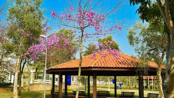 A gazebo with benches, surrounded by trees and a clear sky.