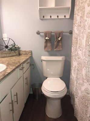 Combined shower/bathtub, hair dryer, towels, soap