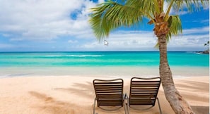 Une scène de plage avec deux chaises vides sous un palmier, donnant sur une mer turquoise.