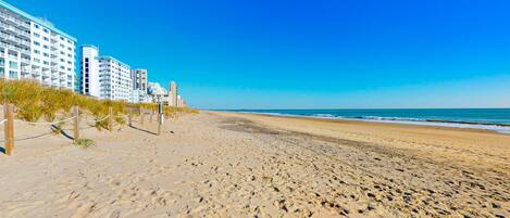Playa en los alrededores