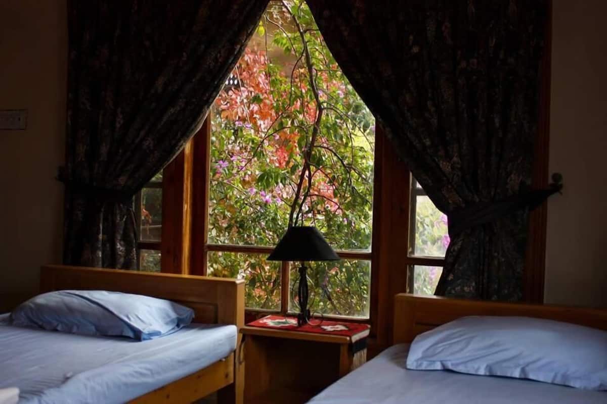 Habitación estándar con 1 cama matrimonial o 2 individuales | Wifi gratis y ropa de cama