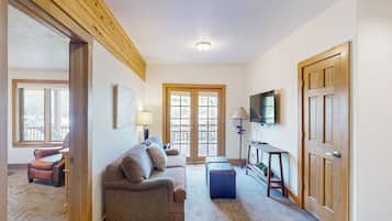 TV, fireplace, DVD player, books
