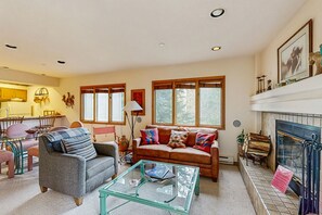TV, fireplace, DVD player, books