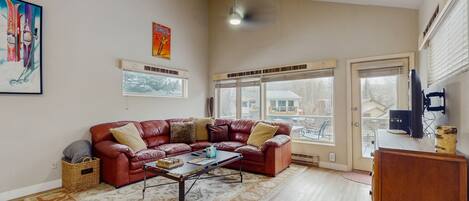 TV, DVD player, books, video library