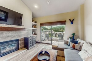 Televisión, chimenea, reproductor de DVD y libros