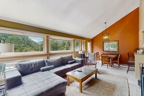 TV, fireplace, DVD player, books