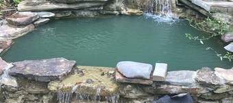 Finster Springs