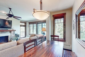 Televisión, chimenea, reproductor de DVD y estéreo 