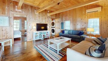 TV, fireplace, books