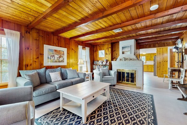 TV, fireplace, books