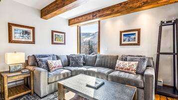 Smart-TV, peis, bøker og filmbibliotek