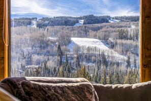 Interior - Luxury, Remodeled Retreat w/ Ski Slope Views Throughout! Walk to Gondola & Shops (Vail)