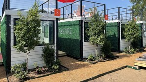 Une rangée de cabanes modernes, numérotées, aux murs verts, avec de petits arbres devant.