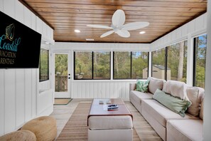 智能电视、DVD 播放器