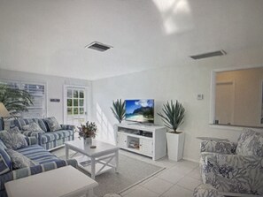 Smart TV, fireplace, books