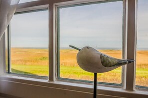 Unclassified image, 4 of 17, button