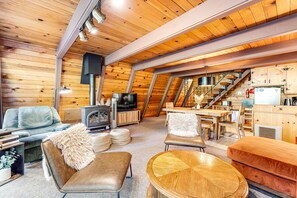 TV, fireplace, books