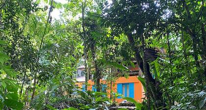 Beaches, rivers and waterfalls in the Atlantic Forest