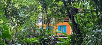 Beaches, rivers and waterfalls in the Atlantic Forest