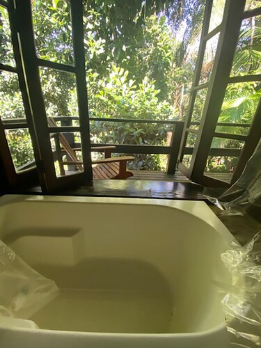 Beaches, rivers and waterfalls in the Atlantic Forest