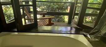 Beaches, rivers and waterfalls in the Atlantic Forest