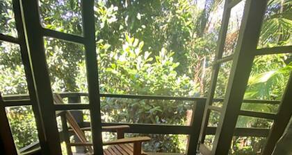 Beaches, rivers and waterfalls in the Atlantic Forest