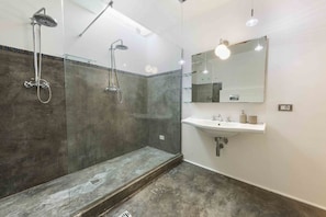Combined shower/bathtub, hair dryer, bidet, towels