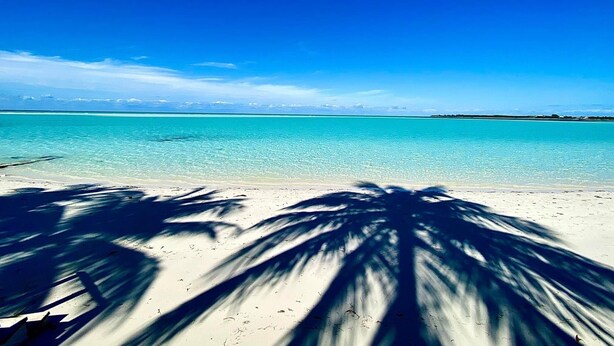 Ein Strand mit klarem türkisblauem Wasser und Palmen-Schatten im Sand.