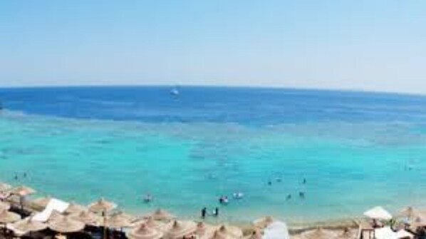 Playa en los alrededores y toallas de playa 