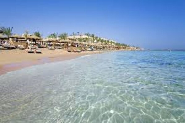 ビーチの近く、ビーチタオル