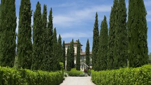 A pathway leading to a building surrounded by tall cypress trees.