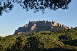 A mountain with a rocky peak and dense forest at its base.