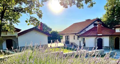 Paleokastro -Angelski dvor