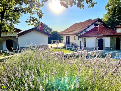 Paleokastro -Angelski dvor