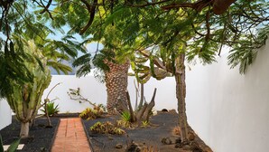 Un vialetto alberato che conduce a un muro bianco, circondato da piante e alberi.