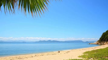 海滩