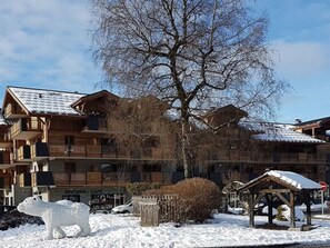 Exterior - Charming 2-room apartment with terrace and WIFI in Samoëns center (Samoëns)