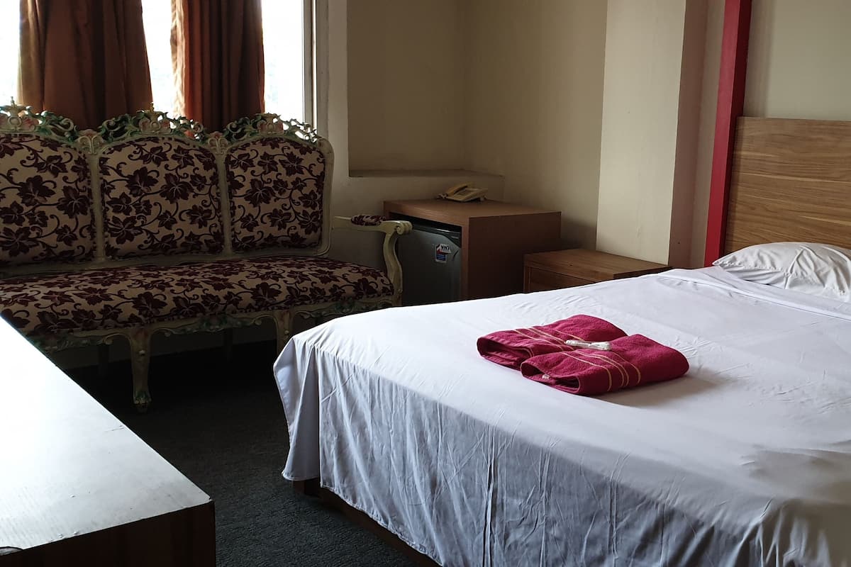 VIP Double | In-room safe, iron/ironing board, rollaway beds, free WiFi