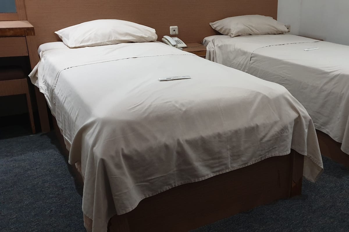 Deluxe Twin Room | In-room safe, iron/ironing board, rollaway beds, free WiFi