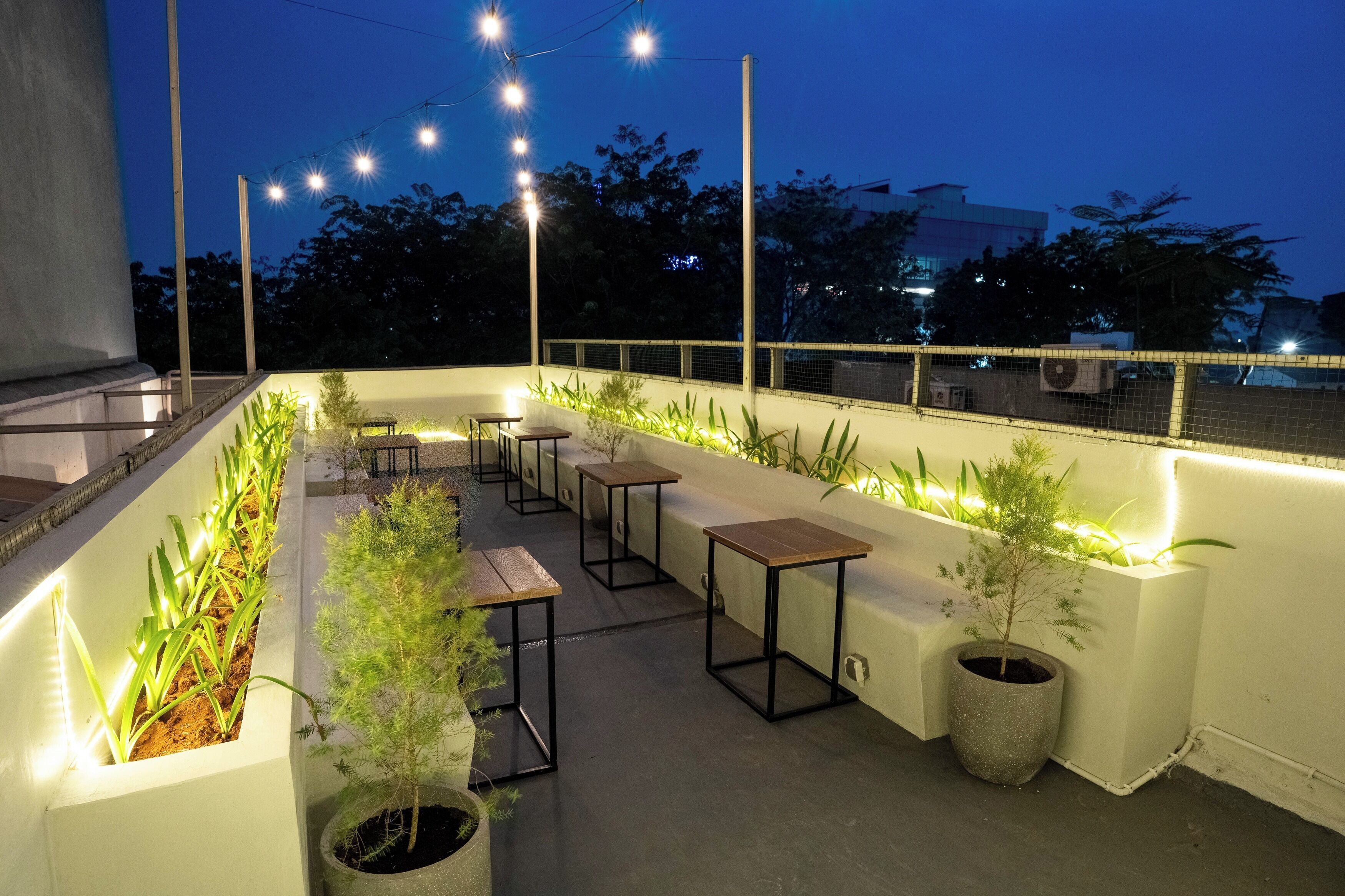 Un espacio al aire libre con mesas y sillas, rodeado de plantas en macetas e iluminado con luces colgantes.